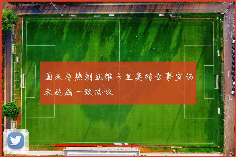 国米与热刺就维卡里奥转会事宜仍未达成一致协议